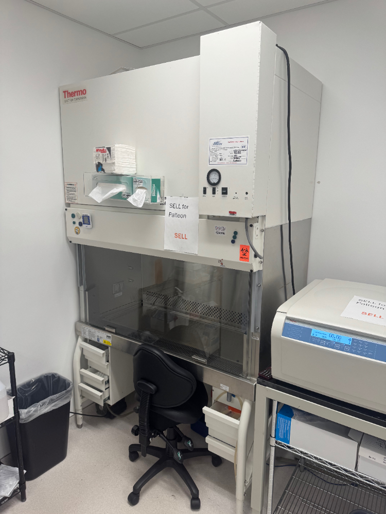 Image of Thermo Forma Class II A2 4' BioSafety Cabinet